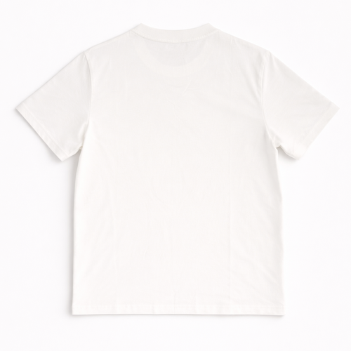 The Perfect White T-Shirt